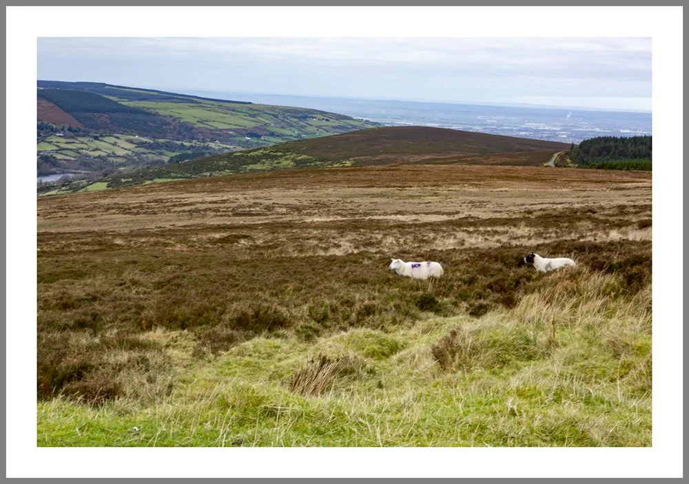 Dublin Mountains 7852 frame.jpg