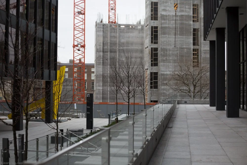 Jeanette Lowe ESB Fitzwilliam Project-8077.jpg