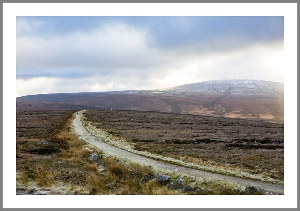 Dublin Mountains 7898 frame.jpg