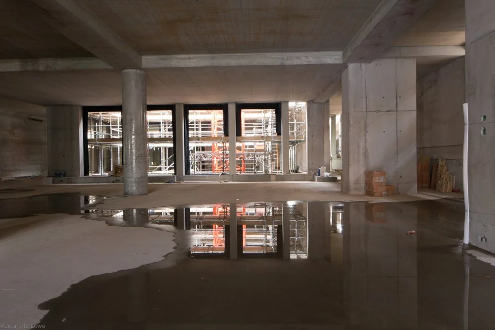 Jeanette Lowe ESB Fitzwilliam Project-0275.jpg