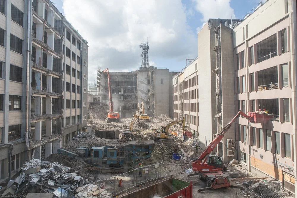 Jeanette Lowe ESB Fitzwilliam Project-5553.jpg