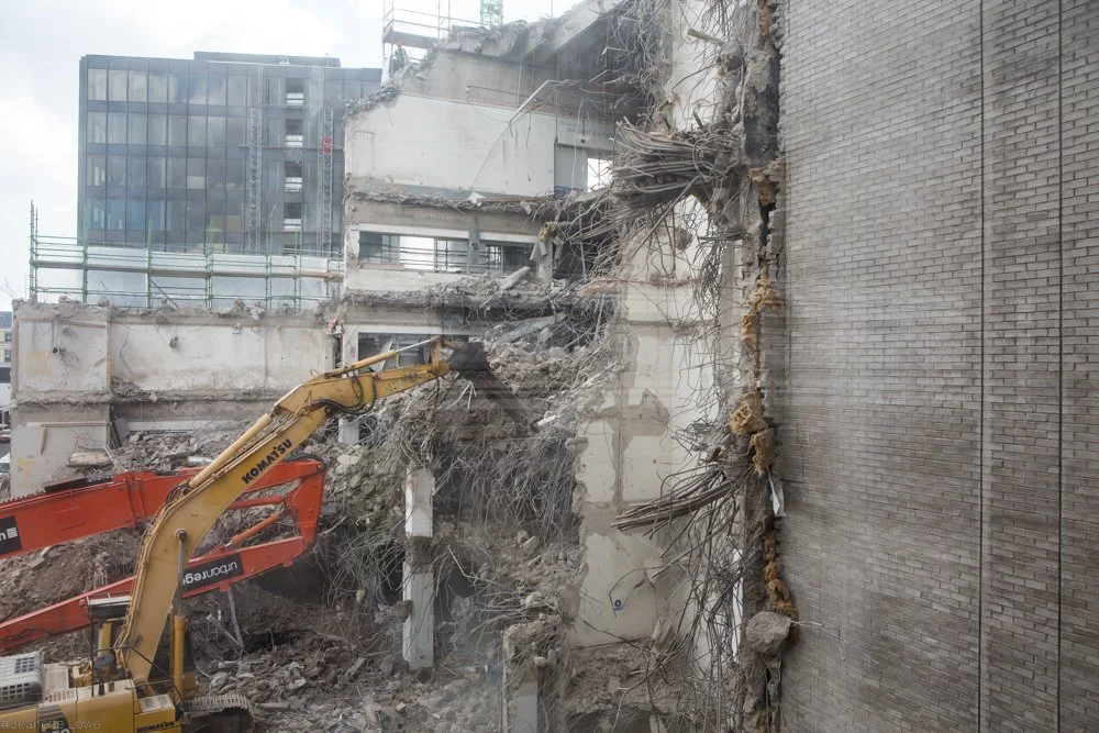 Jeanette Lowe ESB Fitzwilliam Project-5585.jpg