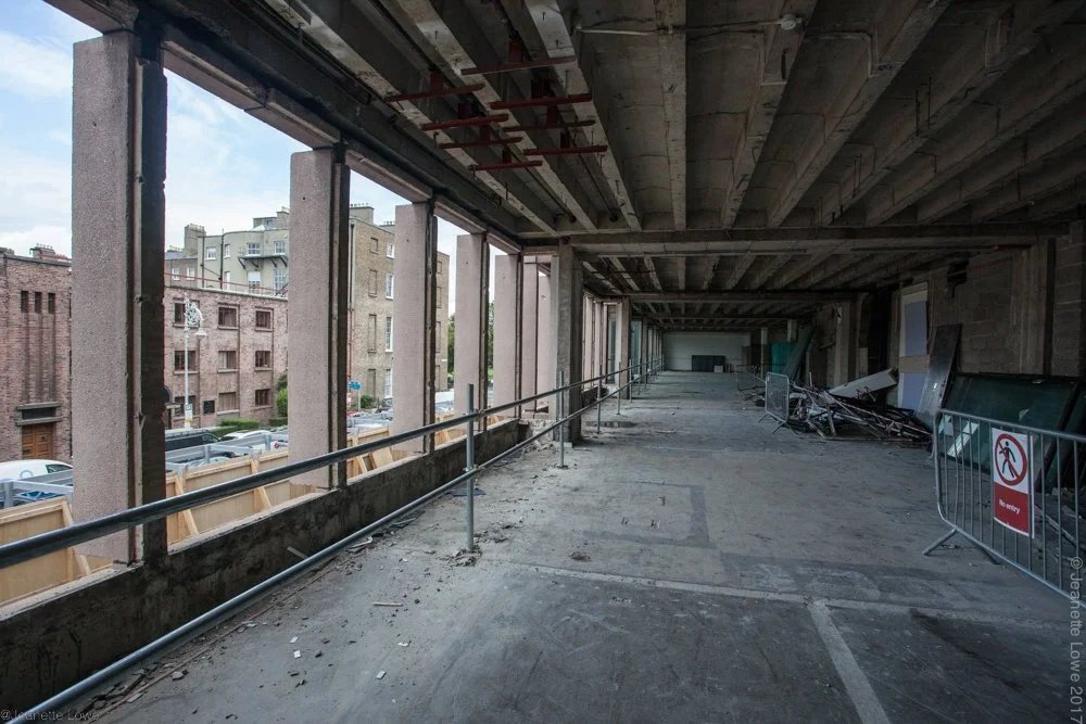 Jeanette Lowe ESB Fitzwilliam Project-5244.jpg