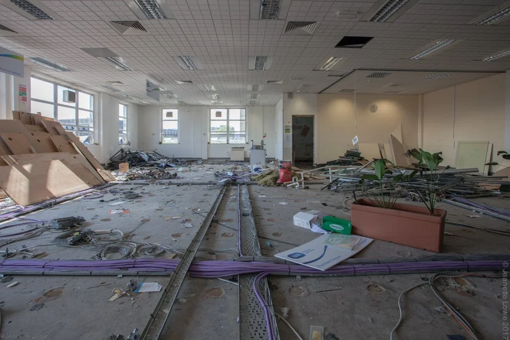 Jeanette Lowe ESB Fitzwilliam Project-25.jpg