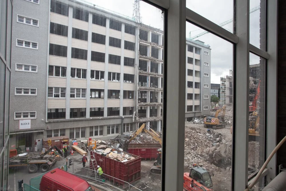 Jeanette Lowe ESB Fitzwilliam Project-5450.jpg