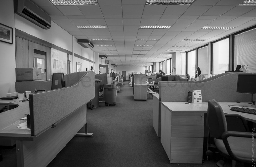 ESB Fitzwilliam Jlowe-14.jpg