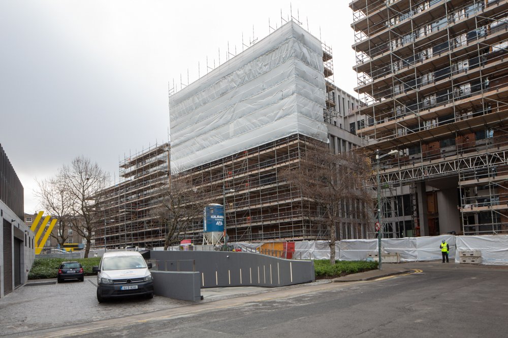 Jeanette Lowe ESB Fitzwilliam Project-0472.jpg