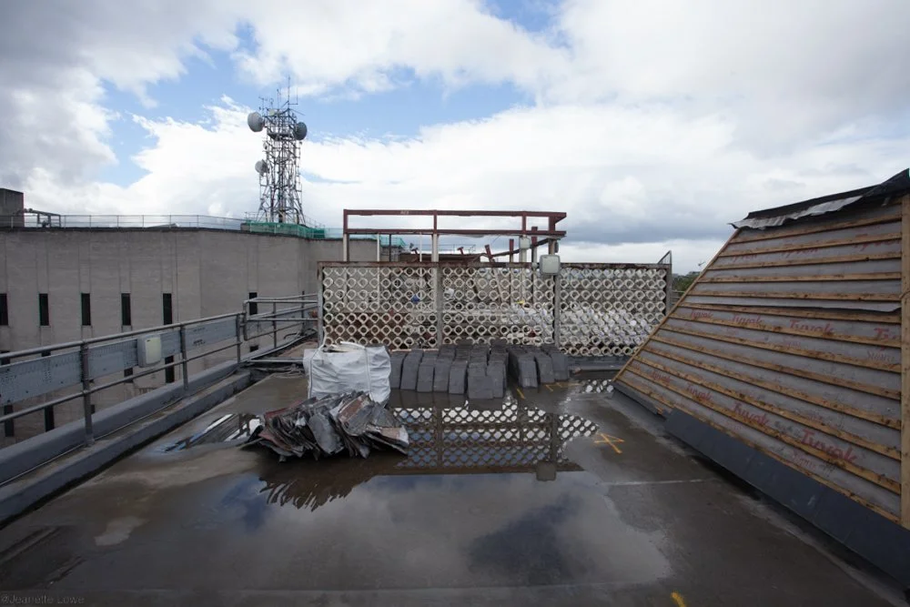 Jeanette Lowe ESB Fitzwilliam Project-4110.jpg