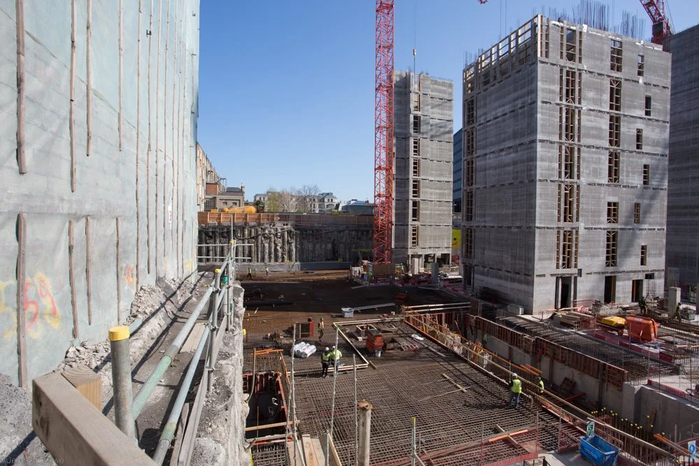 Jeanette Lowe ESB Fitzwilliam Project-8458.jpg