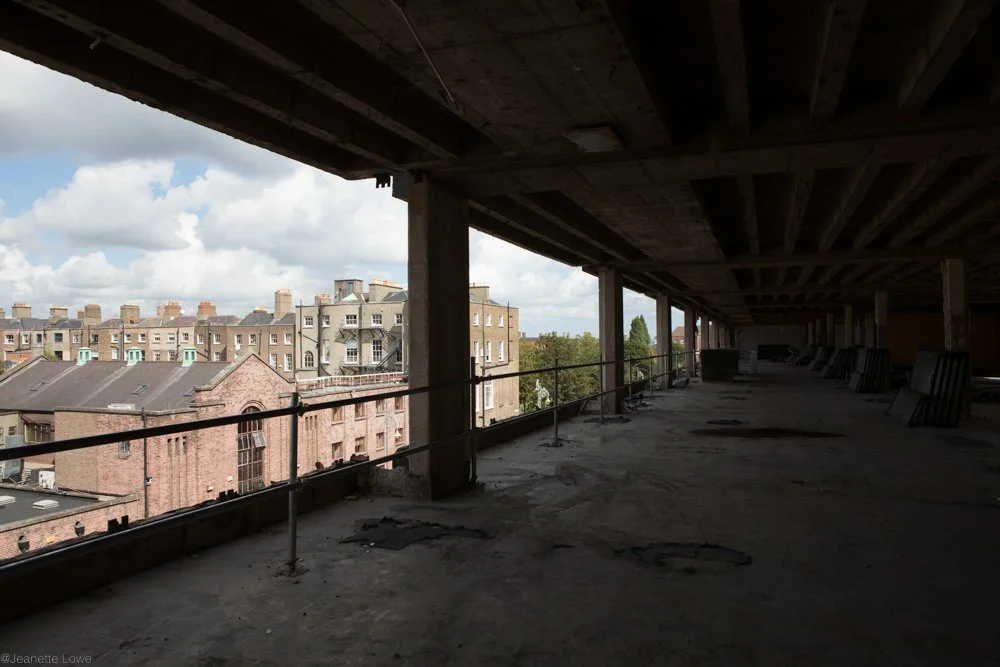 Jeanette Lowe ESB Fitzwilliam Project-5612.jpg