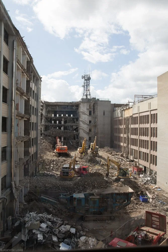 Jeanette Lowe ESB Fitzwilliam Project-5678.jpg