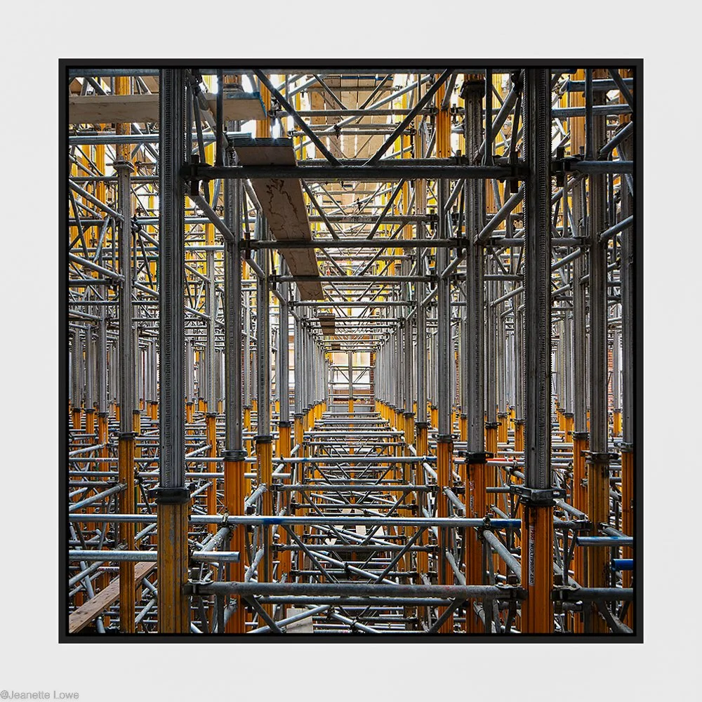 Jeanette Lowe ESB Fitzwilliam Project--18.jpg