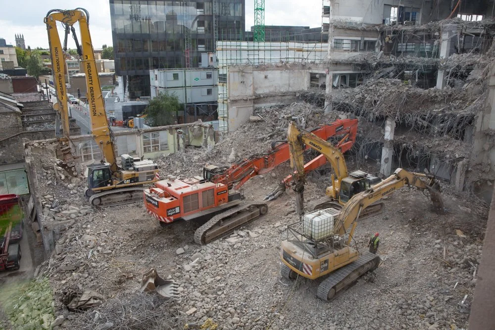 Jeanette Lowe ESB Fitzwilliam Project-5618.jpg