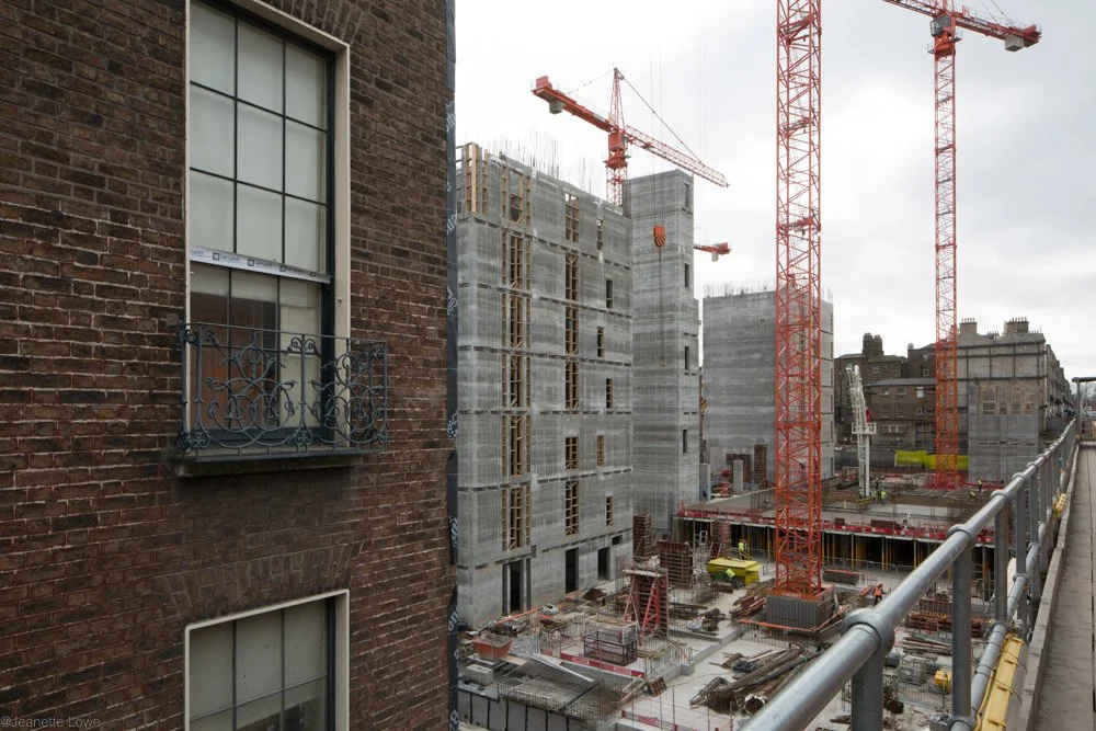 Jeanette Lowe ESB Fitzwilliam Project-7884.jpg