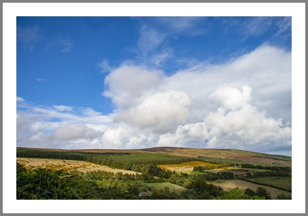 Dublin Mountains 2008_9664 frame.jpg