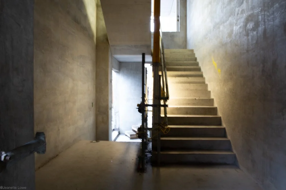 Jeanette Lowe ESB Fitzwilliam Project-2651.jpg