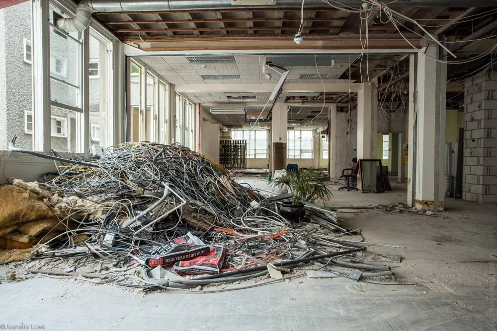 Jeanette Lowe ESB Fitzwilliam Project-2602.jpg