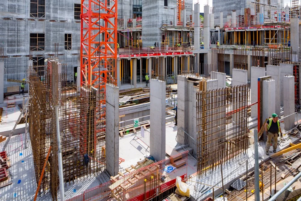 Jeanette Lowe ESB Fitzwilliam Project-6949.jpg