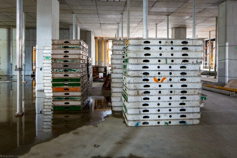 Jeanette Lowe ESB Fitzwilliam Project-0037.jpg