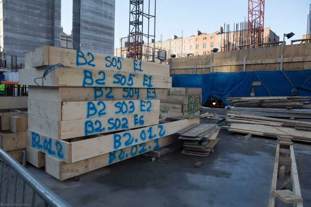 Jeanette Lowe ESB Fitzwilliam Project-0108.jpg