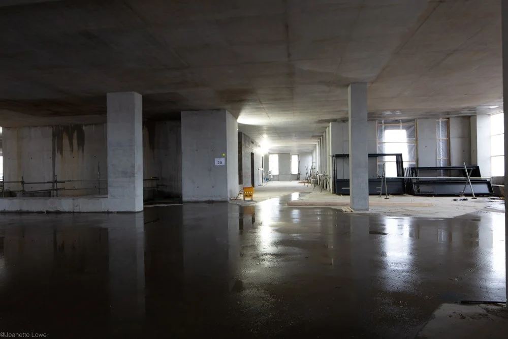 Jeanette Lowe ESB Fitzwilliam Project-2794.jpg