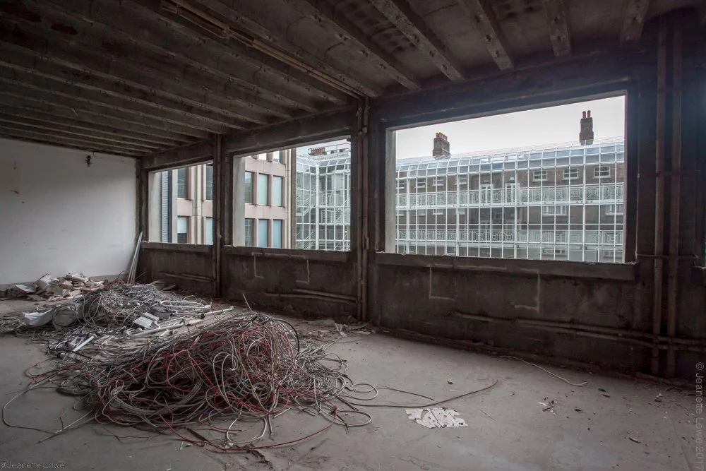 Jeanette Lowe ESB Fitzwilliam Project-2847.jpg