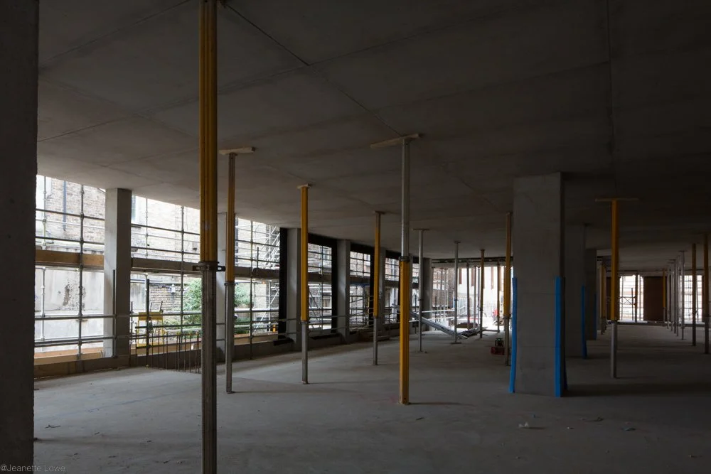 Jeanette Lowe ESB Fitzwilliam Project-8946.jpg