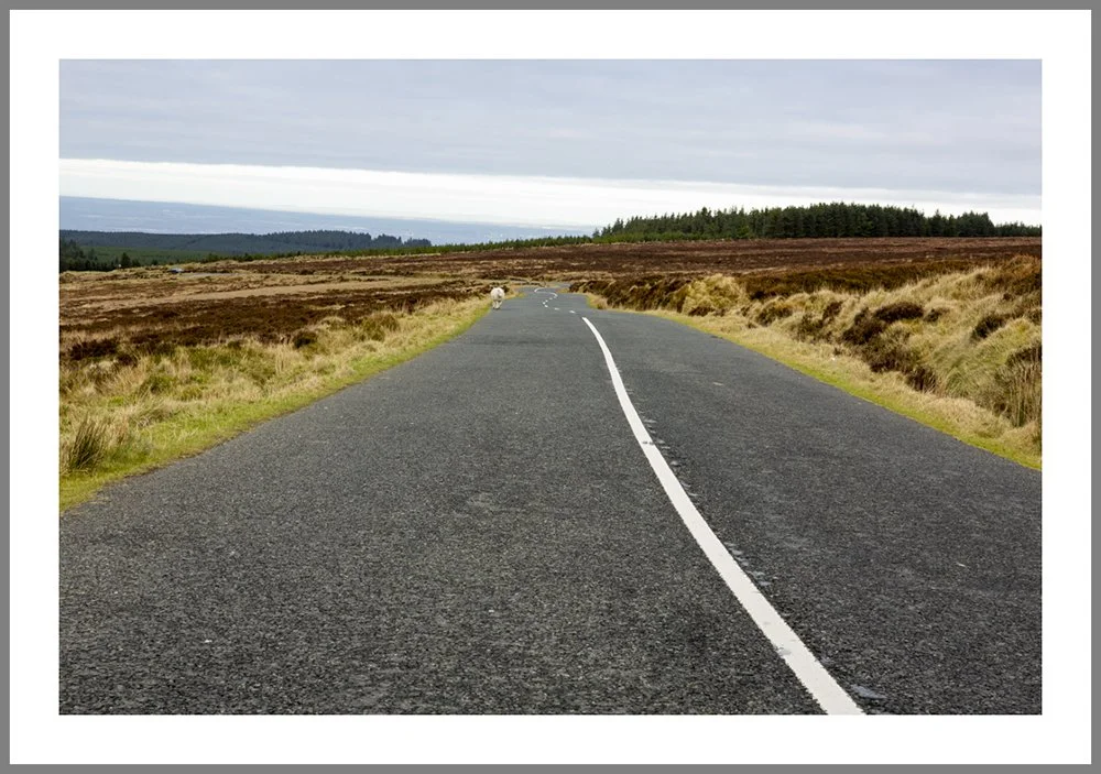 Dublin Mountains 7847 frame.jpg