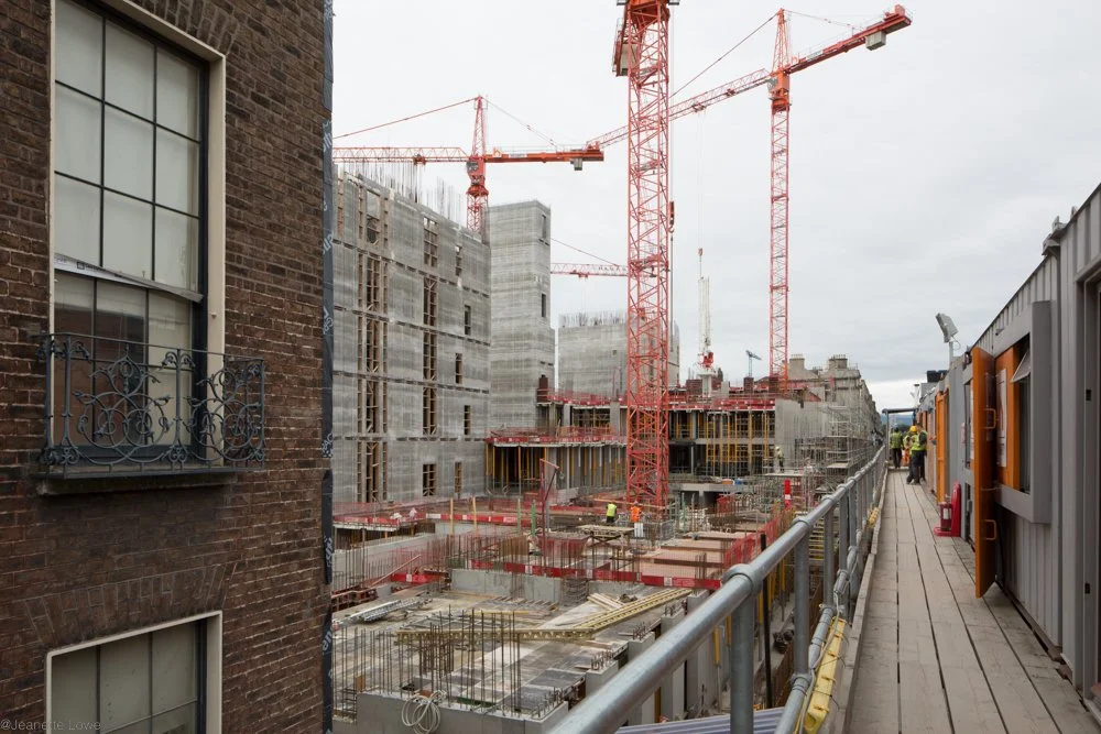 Jeanette Lowe ESB Fitzwilliam Project-8814.jpg