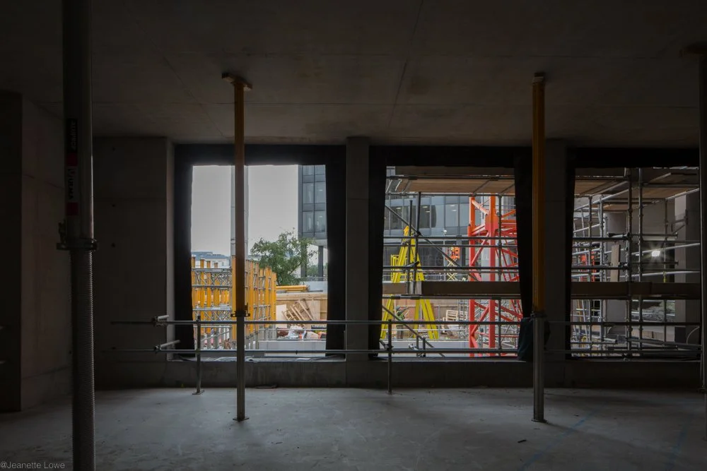 Jeanette Lowe ESB Fitzwilliam Project-8903.jpg