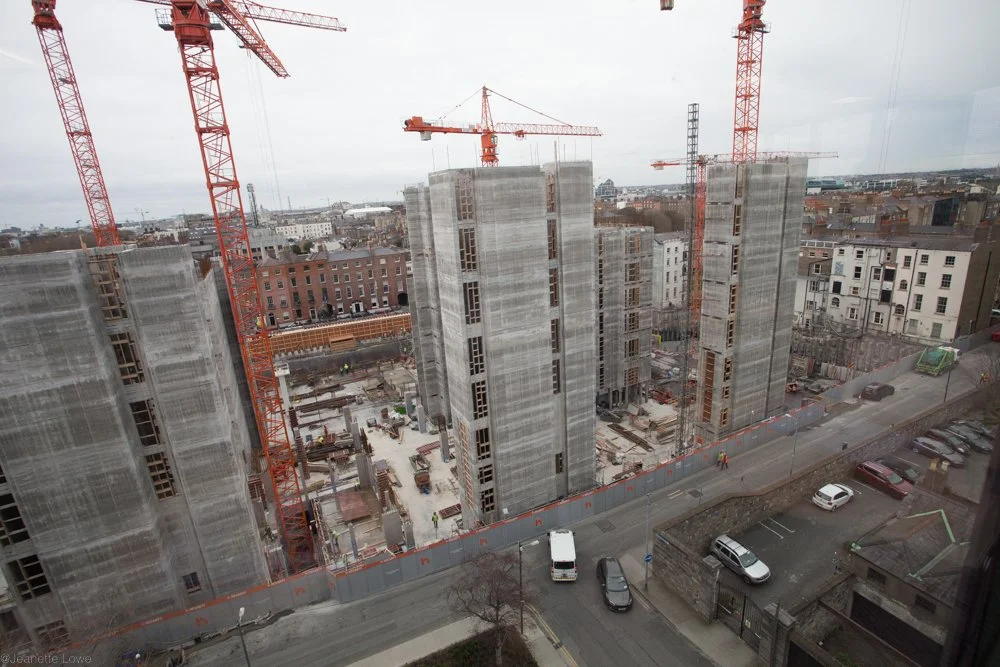 Jeanette Lowe ESB Fitzwilliam Project-7061.jpg