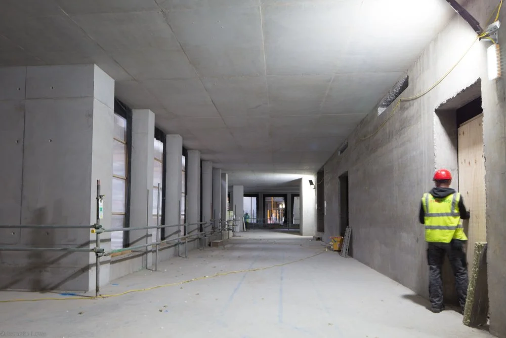 Jeanette Lowe ESB Fitzwilliam Project-0111.jpg