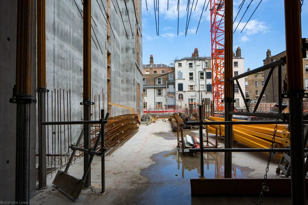 Jeanette Lowe ESB Fitzwilliam Project-0234.jpg