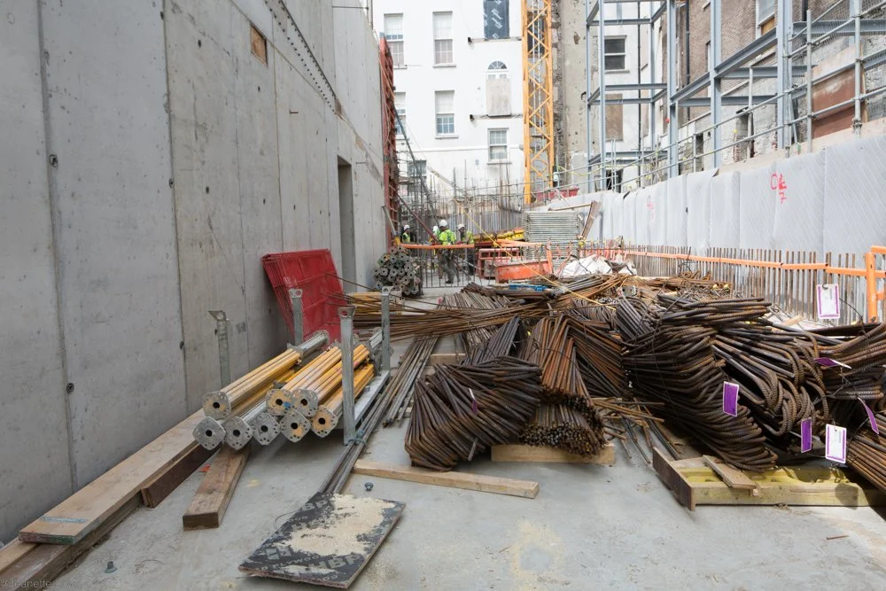 Jeanette Lowe ESB Fitzwilliam Project-0300.jpg