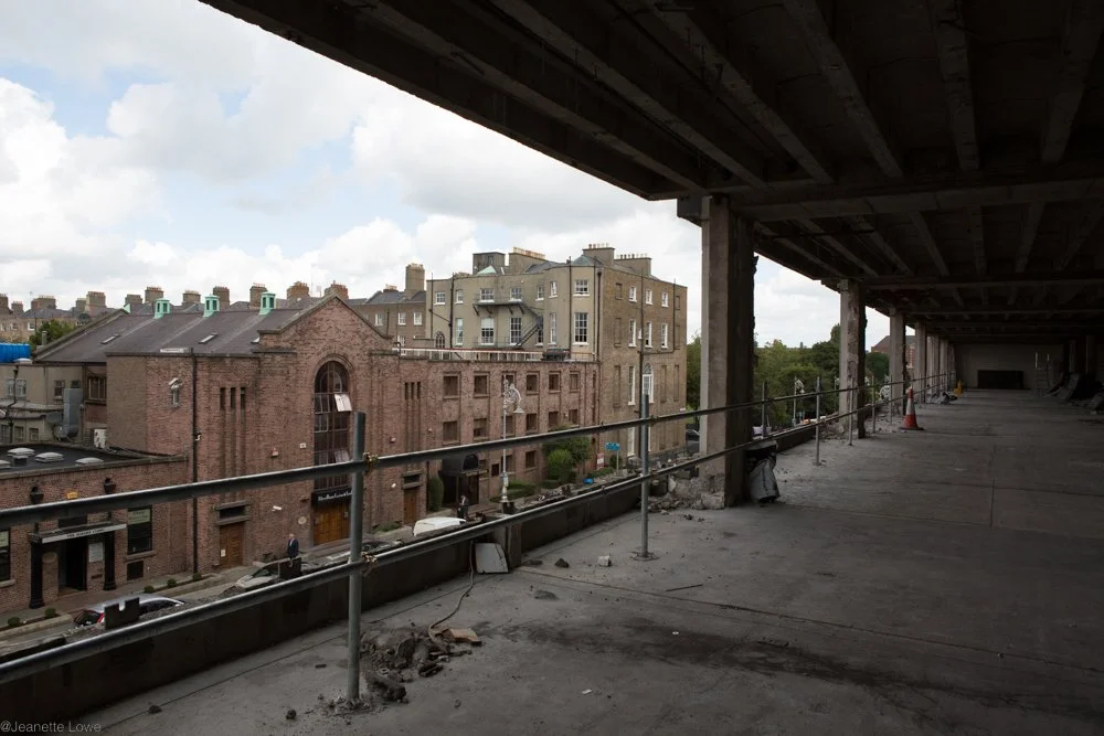 Jeanette Lowe ESB Fitzwilliam Project-5600.jpg