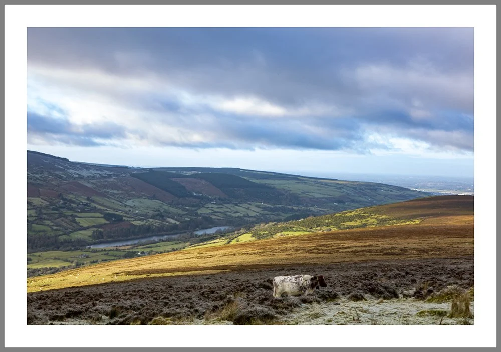 Dublin Mountains 7894 frame.jpg