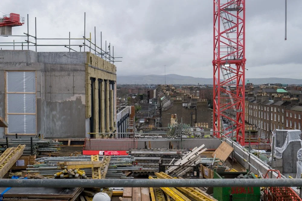 Jeanette Lowe ESB Fitzwilliam Project-1260721.jpg