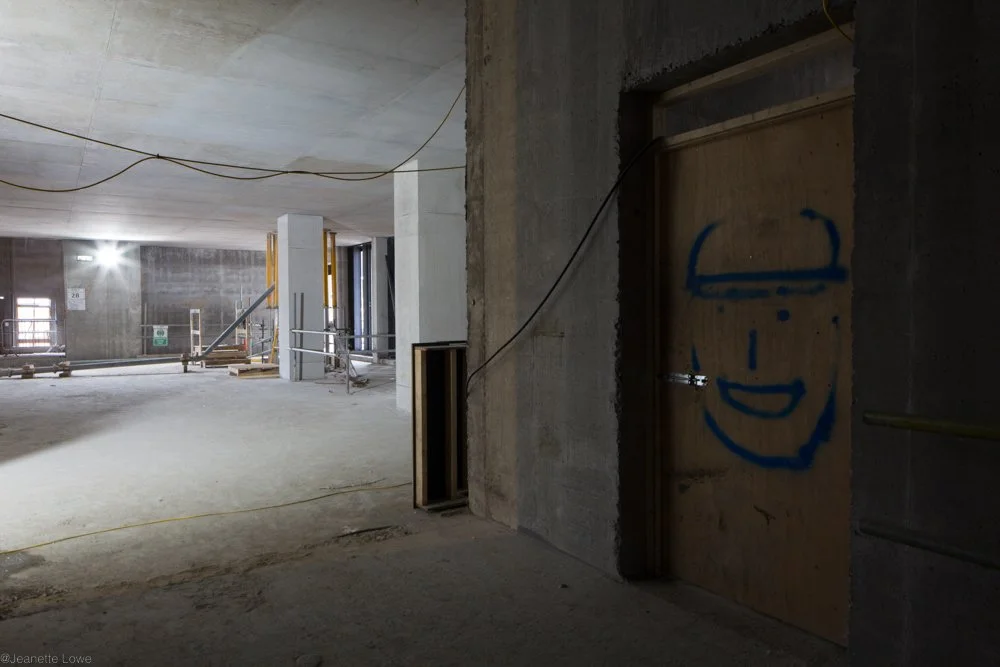 Jeanette Lowe ESB Fitzwilliam Project-0016.jpg