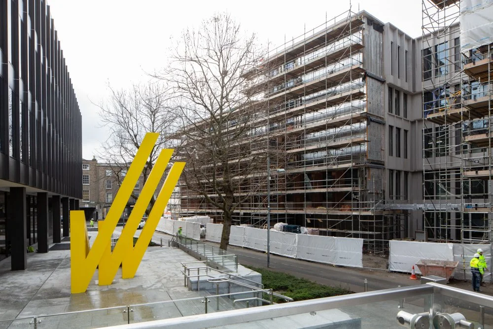 Jeanette Lowe ESB Fitzwilliam Project-0481.jpg