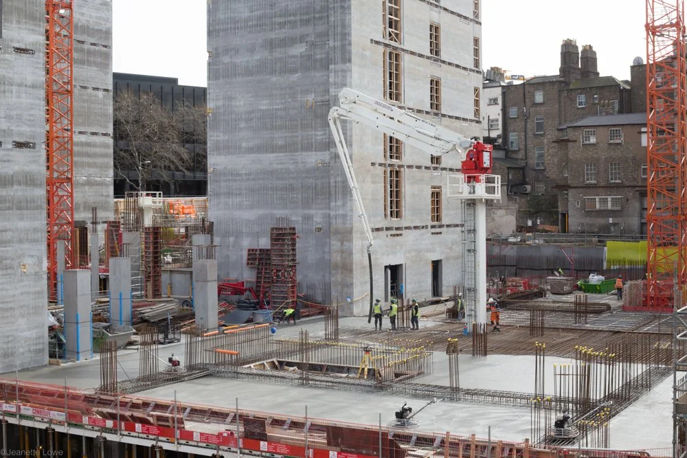 Jeanette Lowe ESB Fitzwilliam Project-7980.jpg