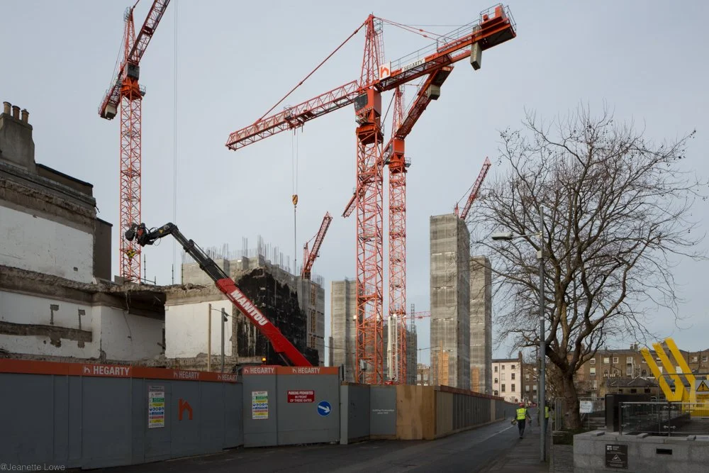 Jeanette Lowe ESB Fitzwilliam Project-1218.jpg