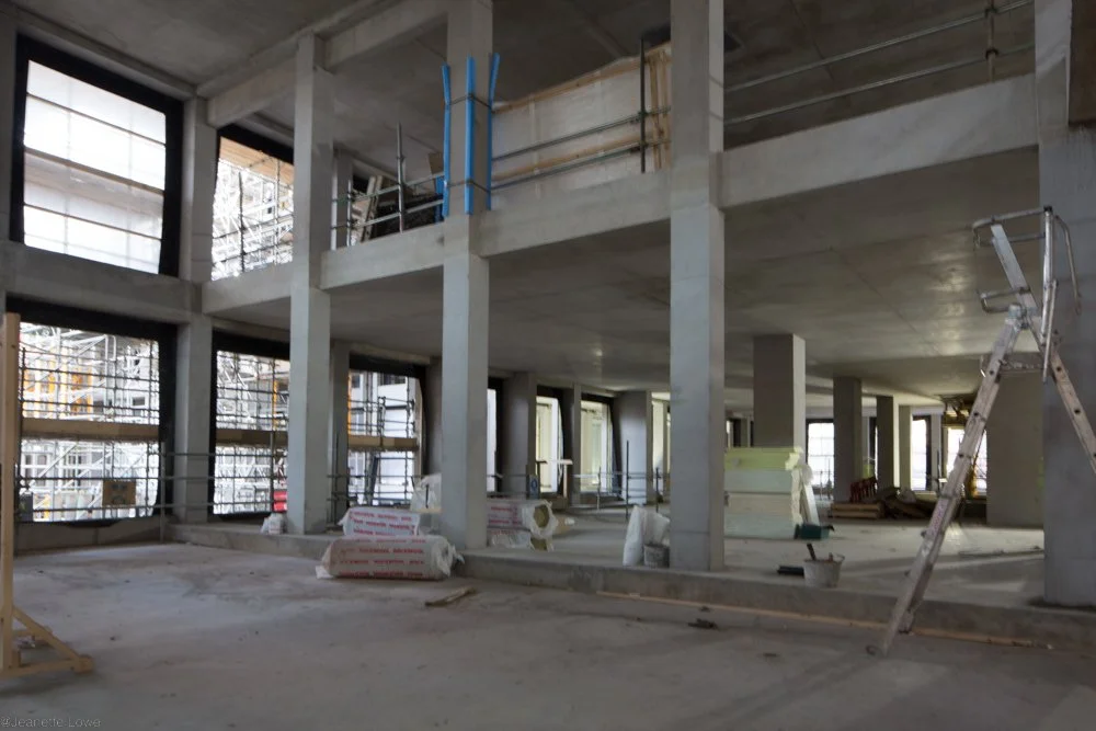 Jeanette Lowe ESB Fitzwilliam Project-0102-2.jpg