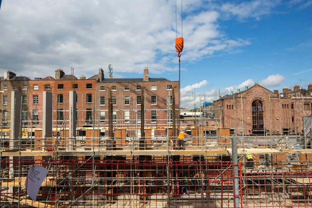 Jeanette Lowe ESB Fitzwilliam Project-0175.jpg