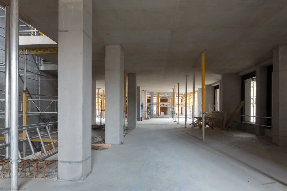 Jeanette Lowe ESB Fitzwilliam Project-8909.jpg