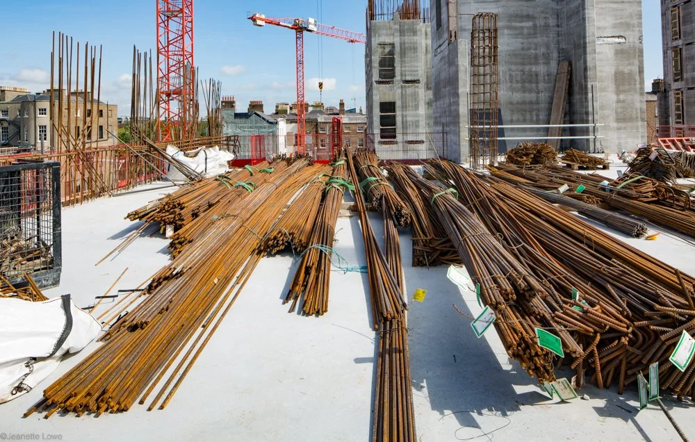 Jeanette Lowe ESB Fitzwilliam Project-0068.jpg