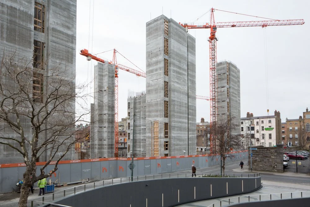 Jeanette Lowe ESB Fitzwilliam Project-8092.jpg