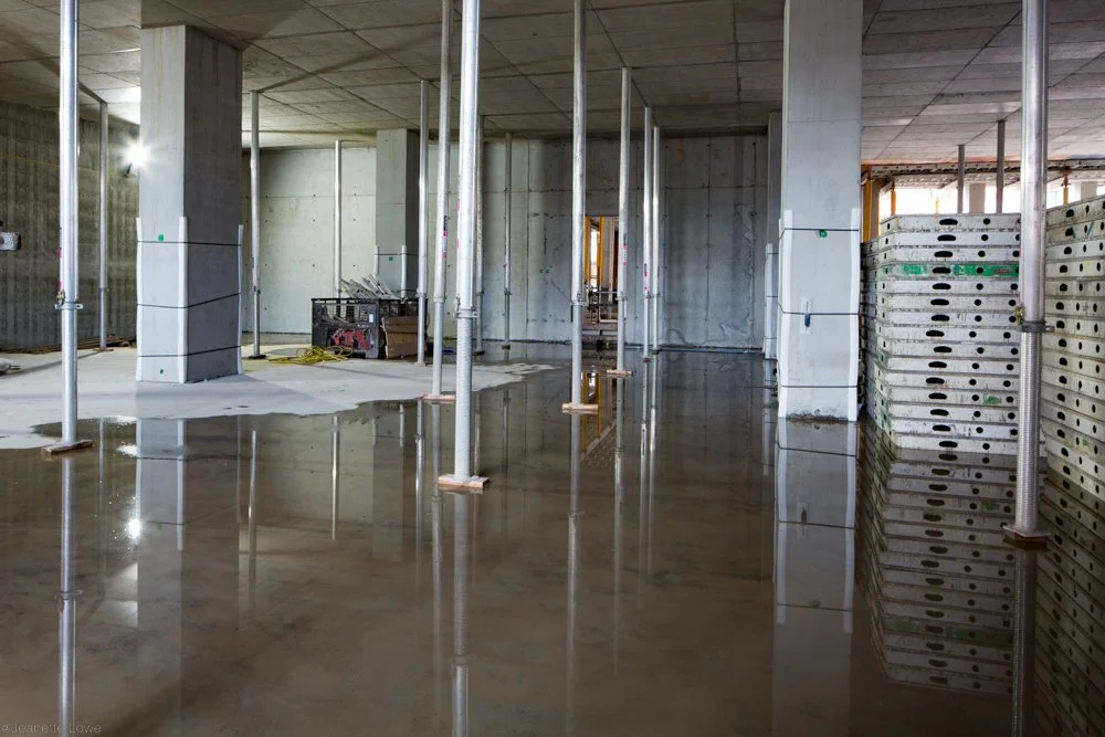 Jeanette Lowe ESB Fitzwilliam Project-0043.jpg