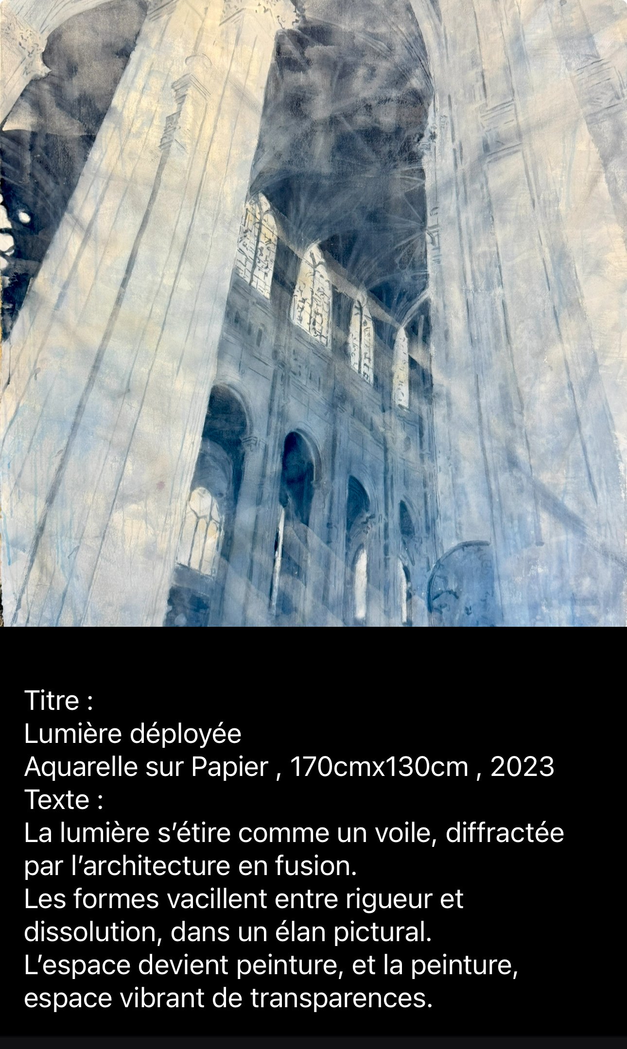 IMG_8807.jpeg