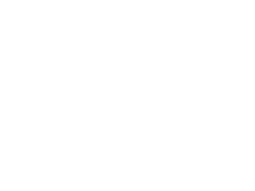 Sony Logo