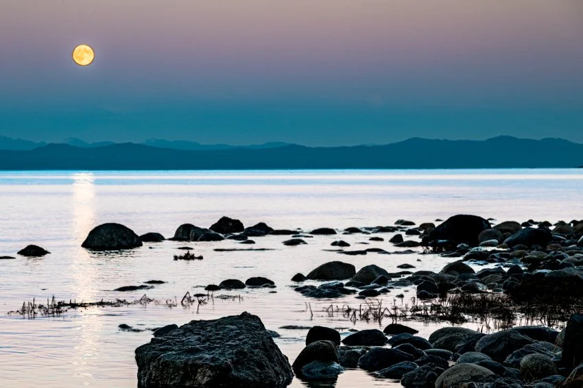 Moonrise From the Beach.jpg